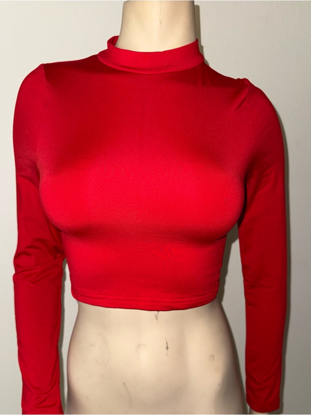 Red Long-Sleeve Mock Neck Crop Top